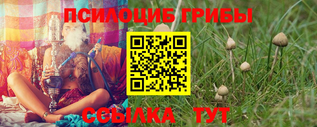 Псилоцибиновые грибы ЛСД Дербент