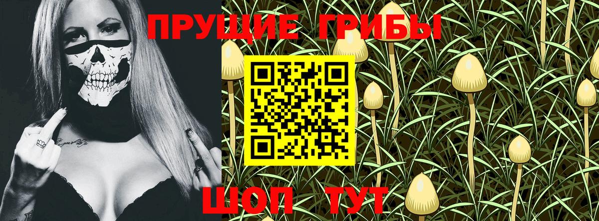 Псилоцибиновые грибы MAGIC MUSHROOMS Дербент
