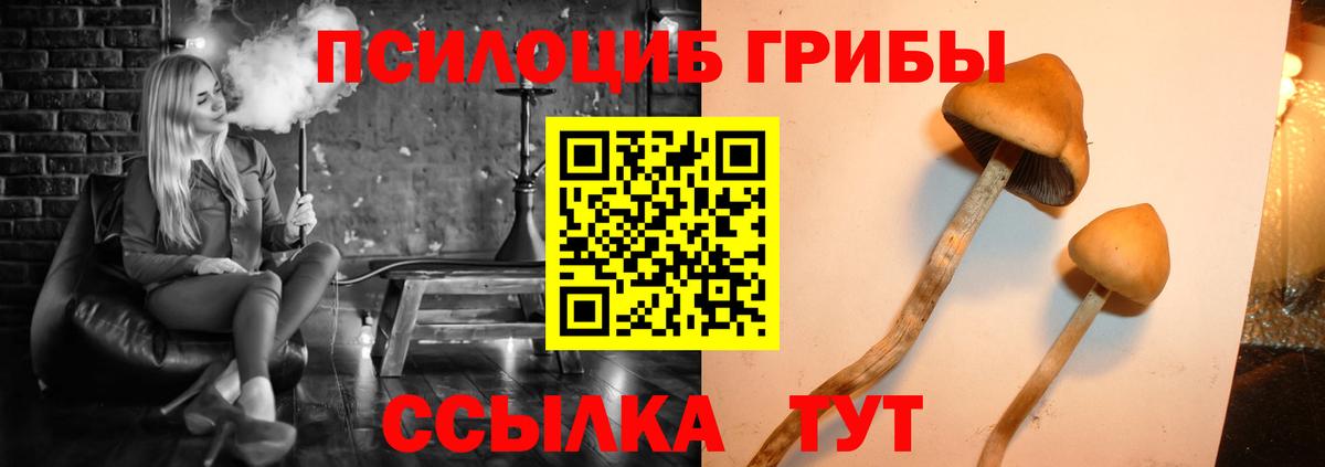 даркнет сайт  Псилоцибиновые грибы MAGIC MUSHROOMS  Вход с VPN  Дербент 